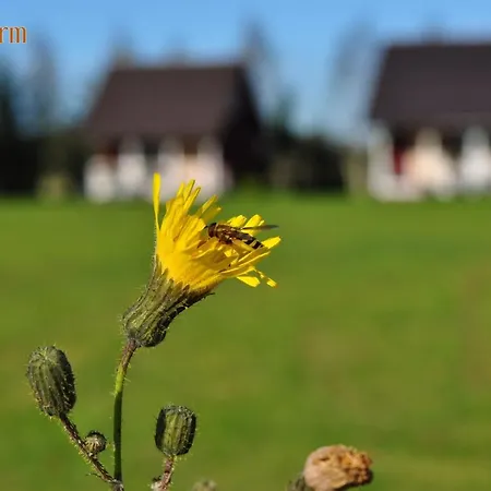 Sunwellfarm Nature Retreat With Self Check-in Nocleg ze śniadaniem Kärde